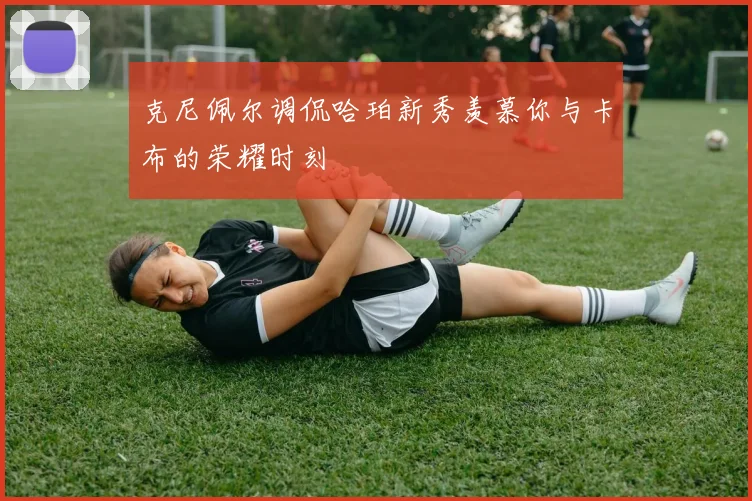 克尼佩尔调侃哈珀新秀羡慕你与卡布的荣耀时刻